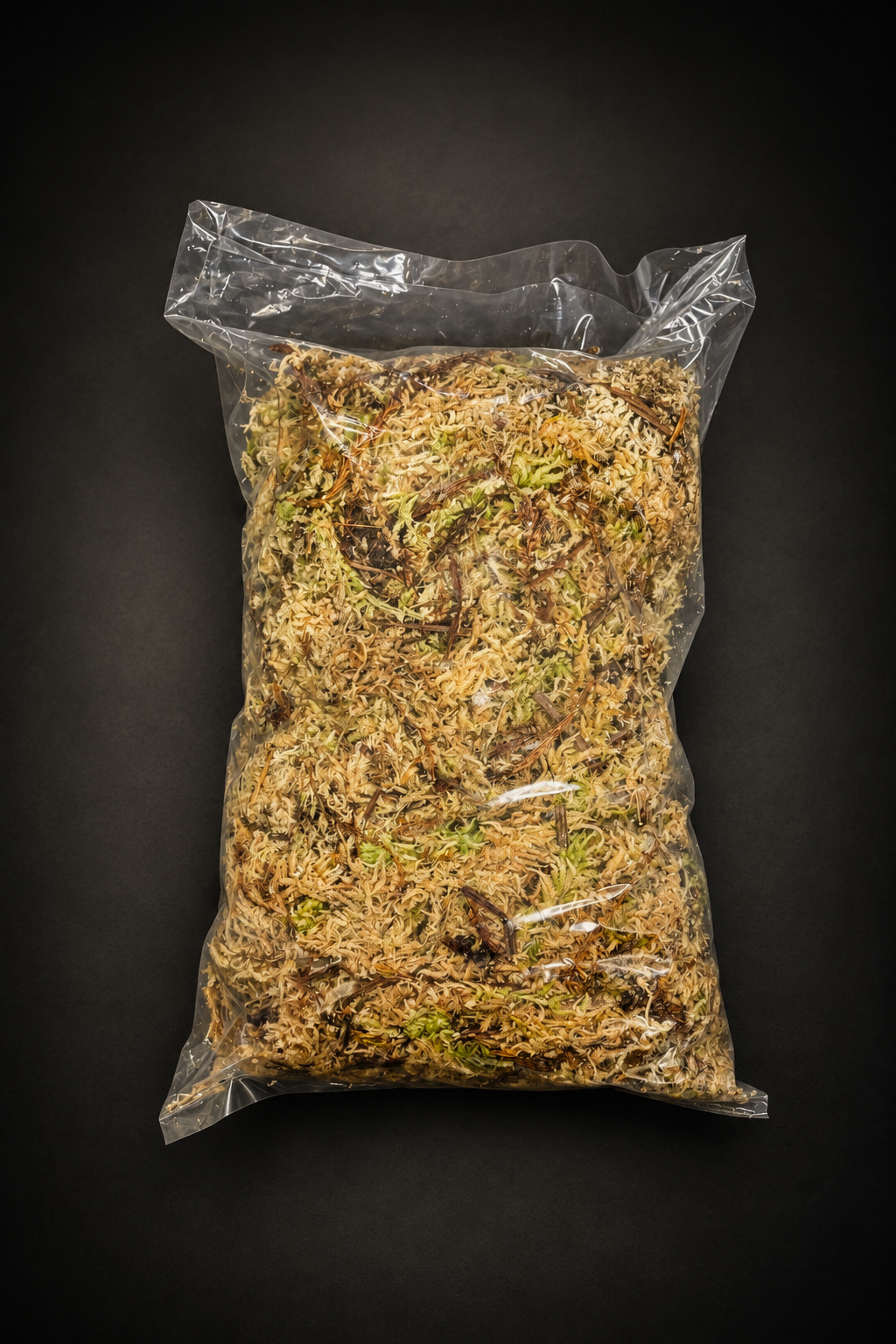 Sphagnum Mose