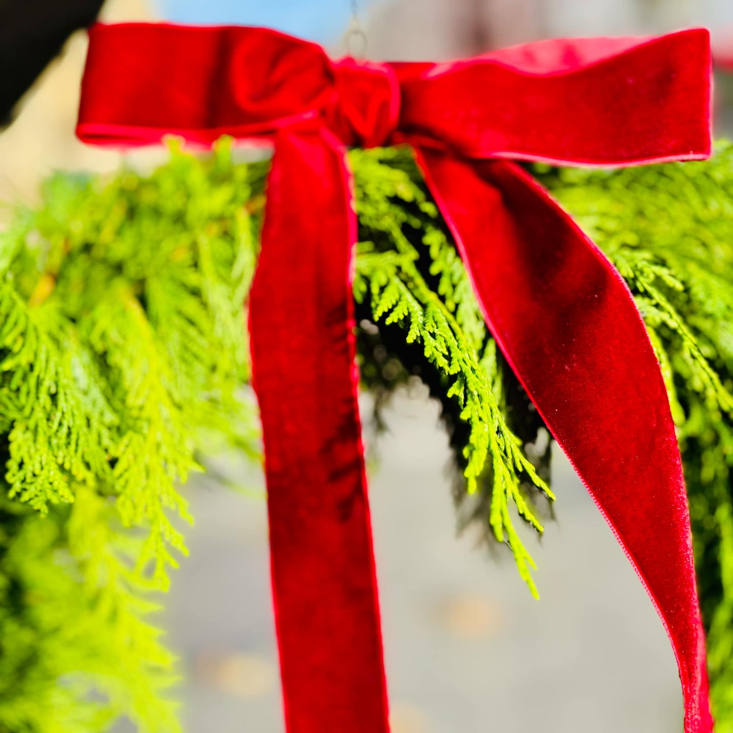 Den Vakkre Sypress Kransen