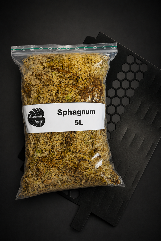 Combo Mosestokk + Sphagnum mose - Stor