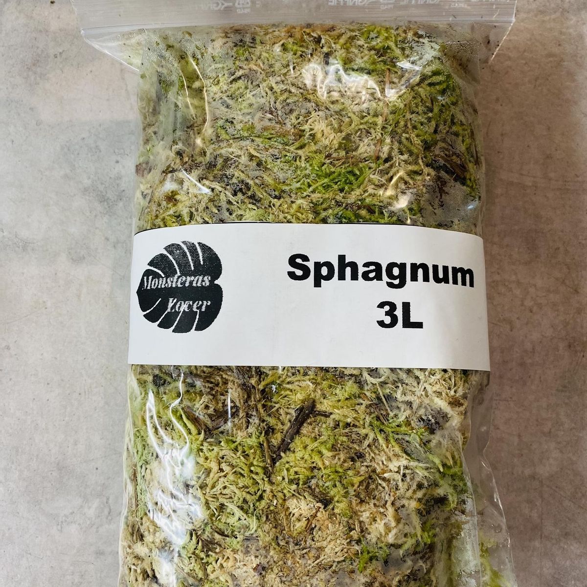 Sphagnum Mose