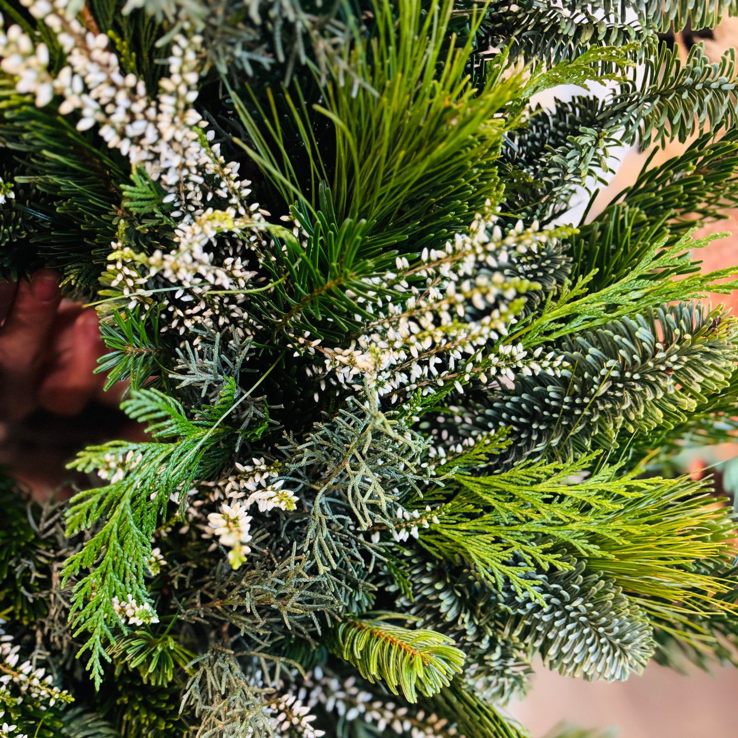 Villhjertets Julekrans