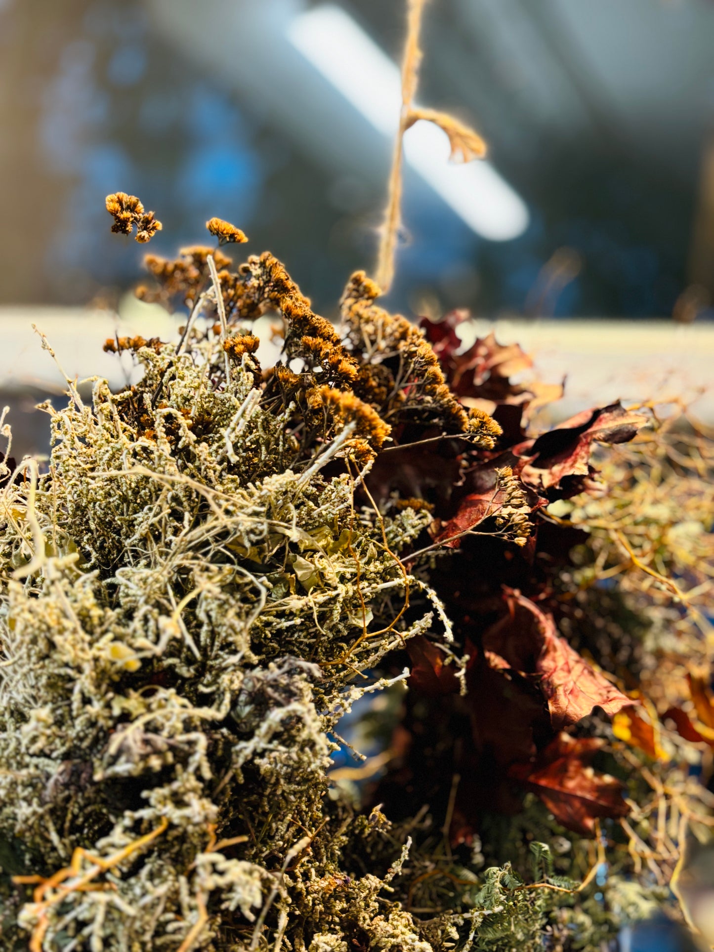 Vinterdrøm Julekrans