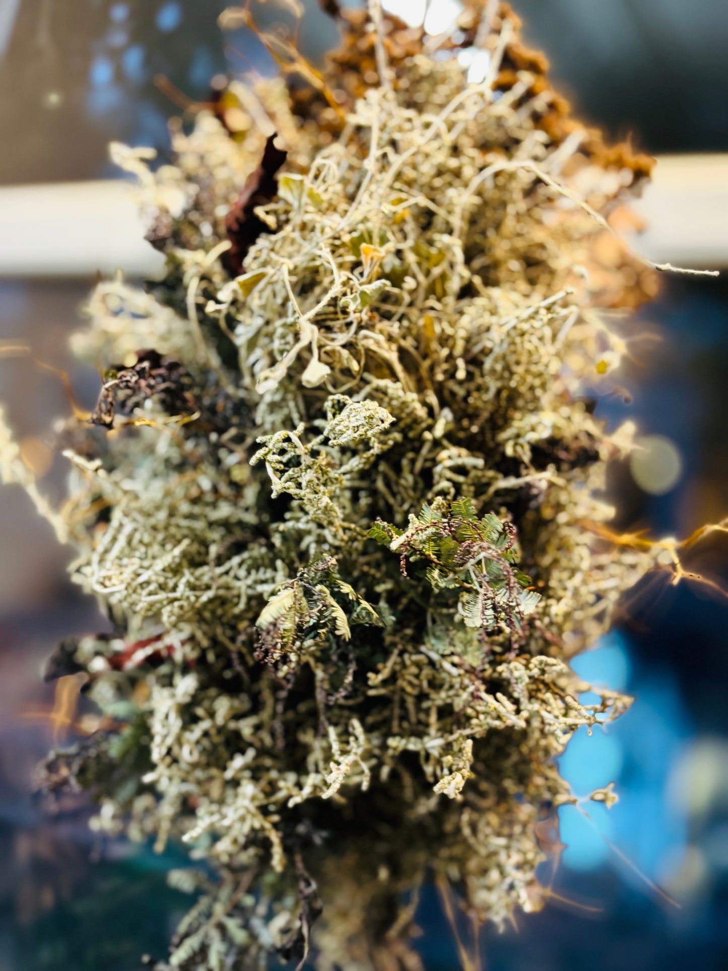 Vinterdrøm Julekrans