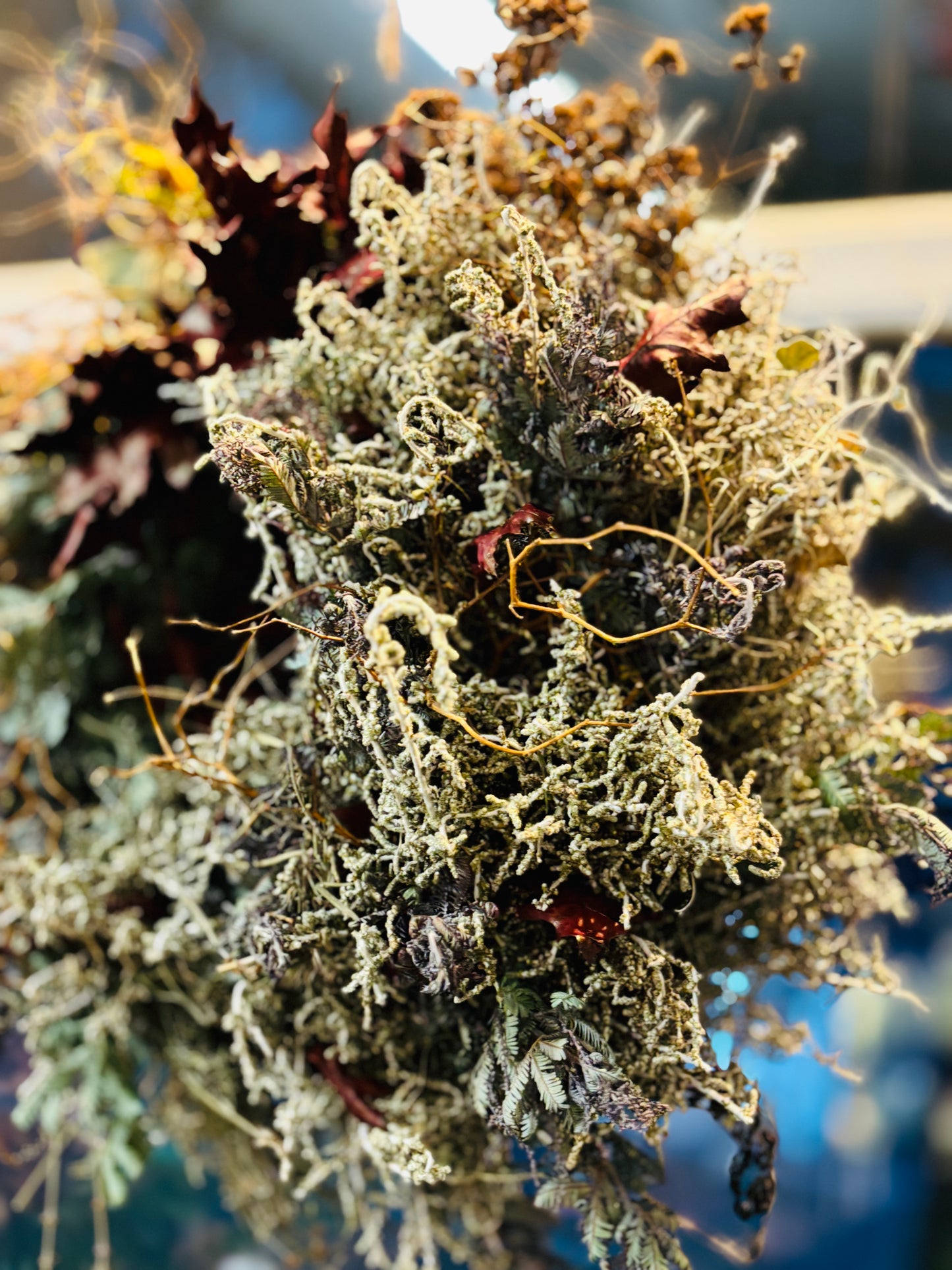 Vinterdrøm Julekrans